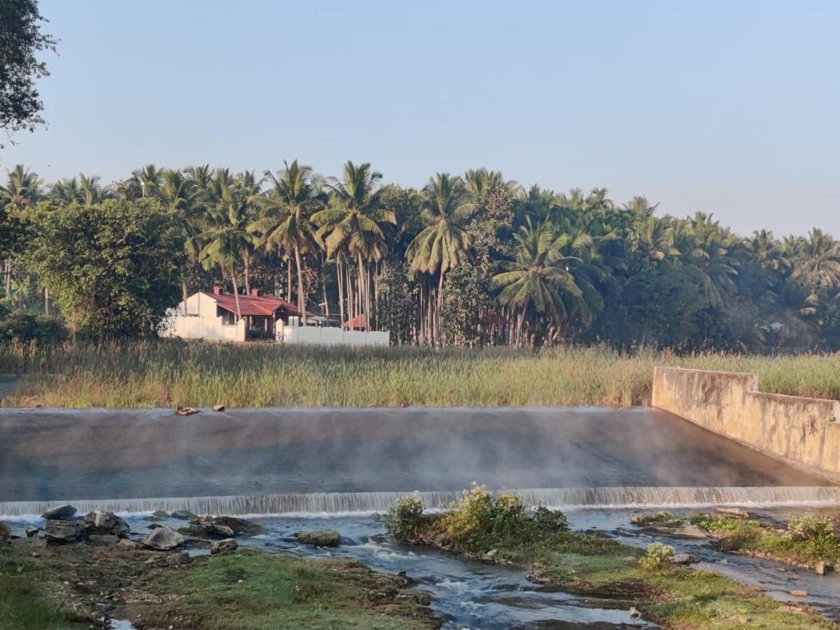 Cosmic Connect Trails Kabini Antharasanthe エクステリア 写真