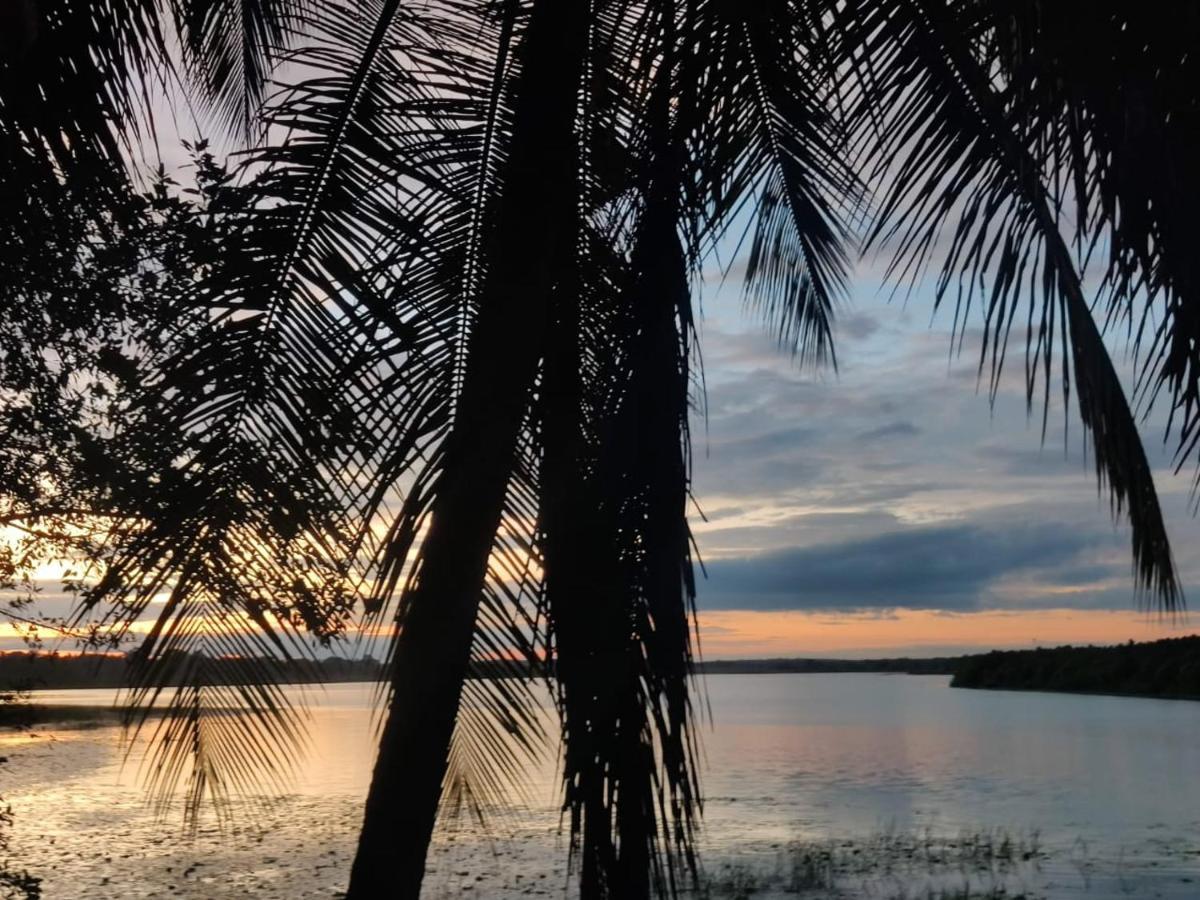Cosmic Connect Trails Kabini Antharasanthe エクステリア 写真